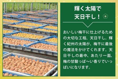 元祖はちみつ入梅干　黄金漬(1kg)　A-503