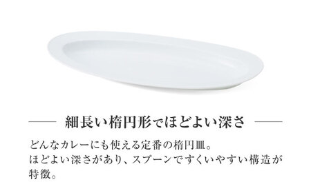 【美濃焼】 miyama.のカレーのうつわ いつものカレー皿 白磁 プレート [AZCM056] プレート