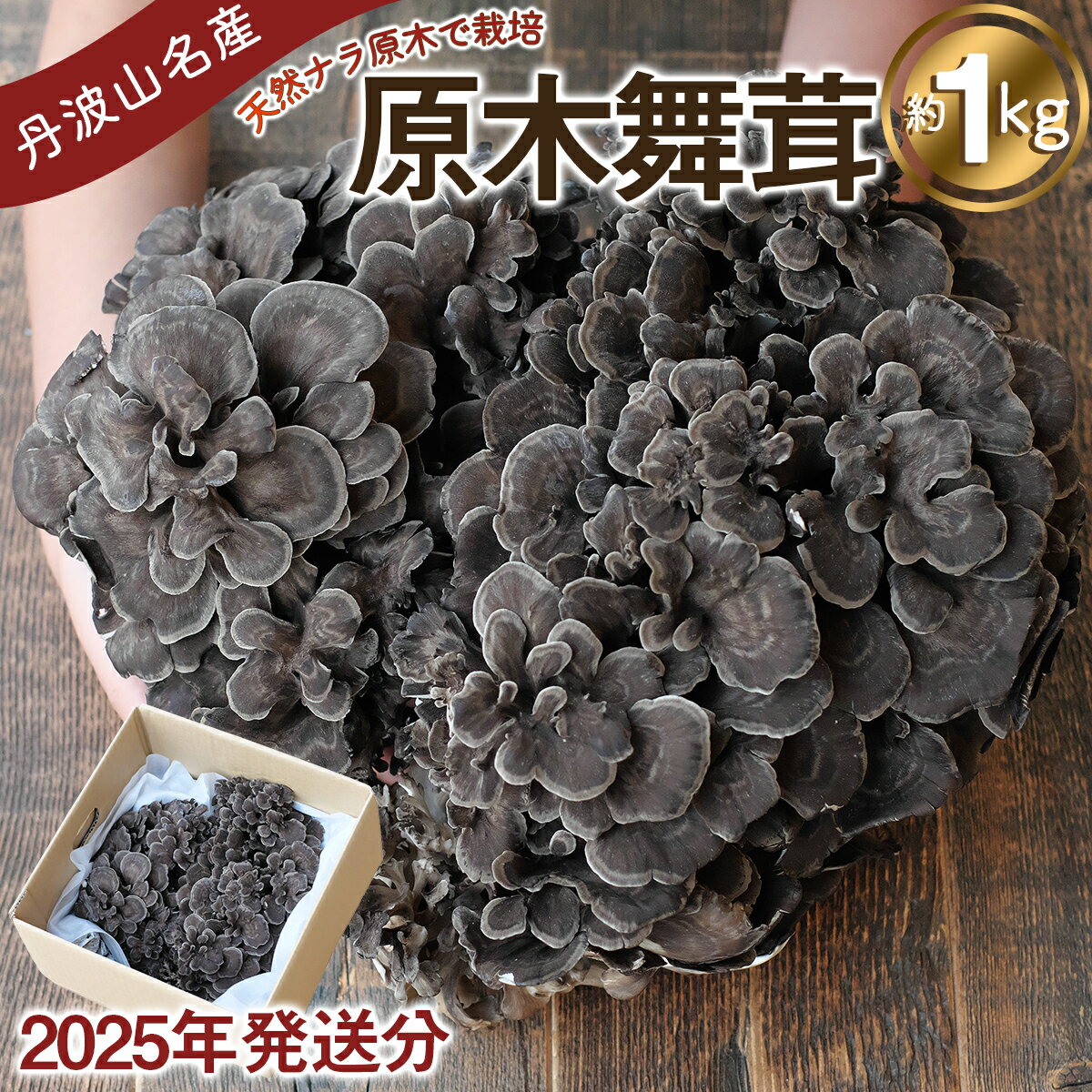 【ふるさと納税】 【2025年発送分 先行予約】 丹波山村産 原木舞茸 約1kg 2025年9月下旬より順次発送予定 / 丹波山名産 希少 無農薬 無添加 舞茸 まいたけ マイタケ 原木栽培 きのこ キノコ 産地直送