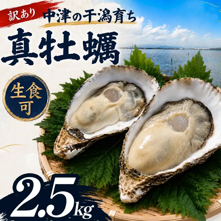 【訳あり】殻付き真牡蠣 2.5kg | かき 真牡蠣 生食用 殻付き 海鮮 魚介 海のミルク おつまみ おかず 訳あり 家庭用 大分県 中津市
