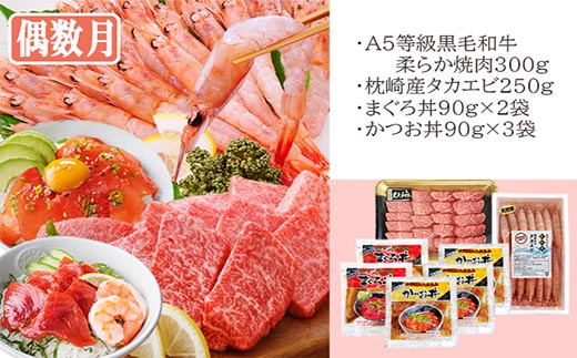 ＜ふるさと納税＞定期便2回配送　鹿児島県産黒毛和牛・黒豚・漬丼　お試し定期便セット　DD-6007【1486099】 _ 黒毛和牛 黒豚 マグロ 鰹 カツオ 丼  焼肉 ロース しゃぶしゃぶ セット 