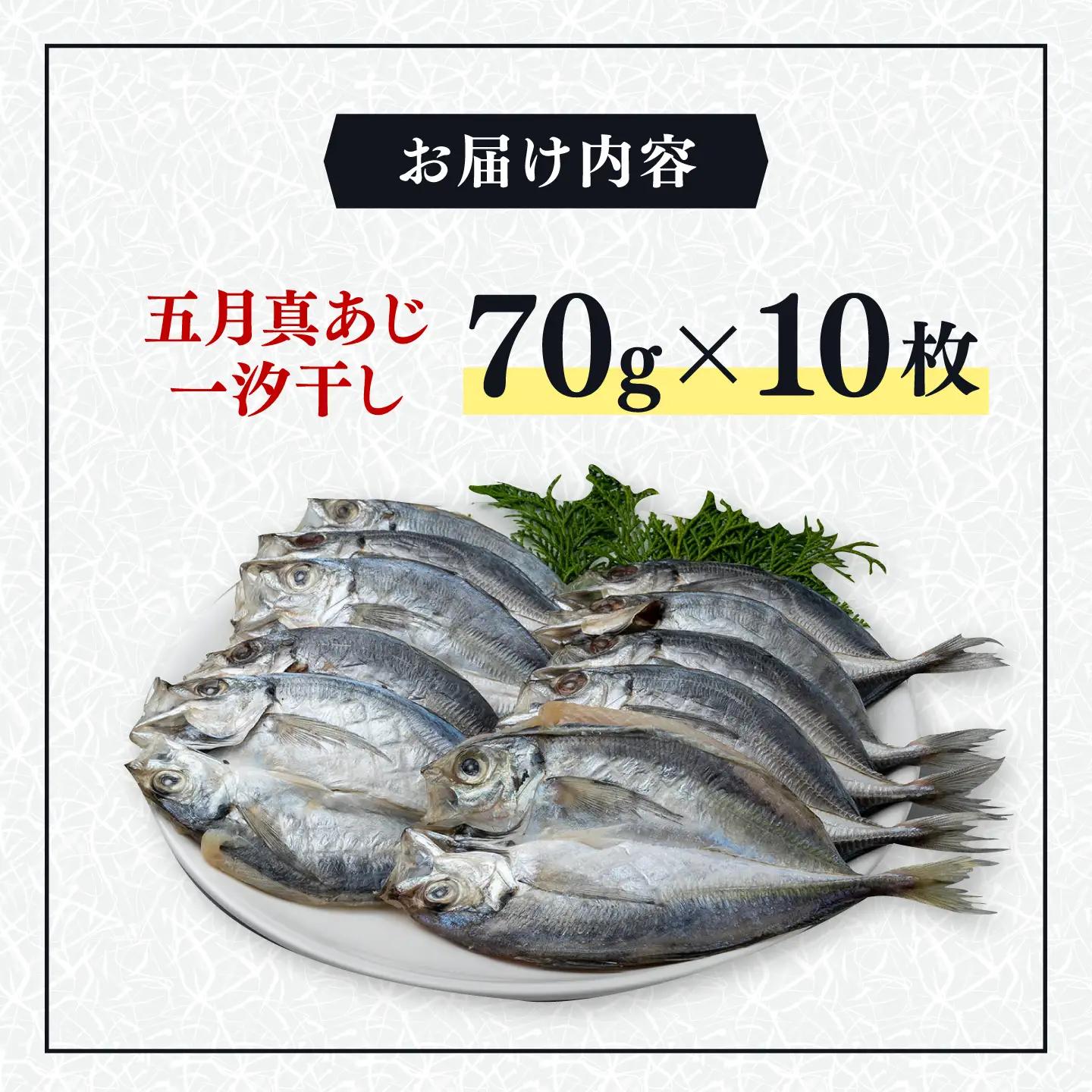 【1週間以内発送】対馬 五月 真あじ 一汐干し 10枚 [WAI009] あじ 干物 アジ 真アジ スピード発送 最速発送 最短発送