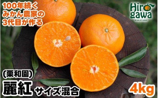 
                  麗紅 れいこう 4kg【krw012-r-4】
                