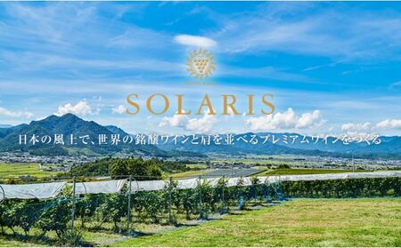 ソラリス 品種飲み比べセット ワインセット ワイン 赤ワイン 白ワイン シャルドネ 辛口ワイン ソーヴィニヨン メルロー スパイシー タンニン 