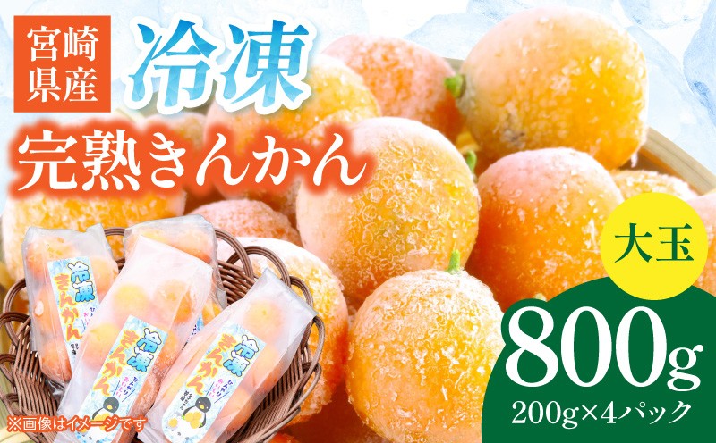 
                  産地直送 冷凍完熟きんかん 800g 果物 フルーツ スイーツ デザート おやつ きんかん 完熟 完熟きんかん 金柑 特産品 おすすめ グルメ ギフト 贈り物 贈答 プレゼント お取り寄せ_K034-003
                