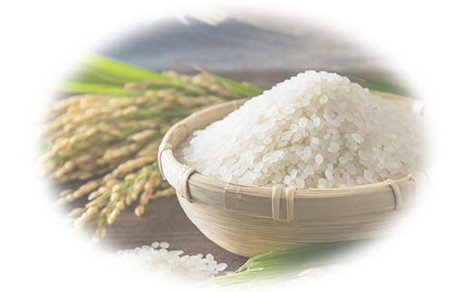 令和6年産米 須賀川市産 にじのきらめき精米5kg ブランド米 お米 精米 白米 人気 F7X-0275