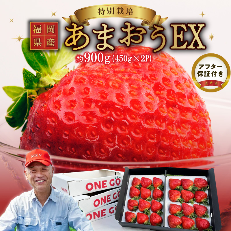【2026年1月より順次発送】ギフト配送 約450g×2パック EX 福岡県産あまおう〈特別栽培〉_福岡県産 あまおう 約450g×2パック エコファーマー 土づくり 化学合成農薬 化学肥料 低減 特別栽培 ギフト配送 希少価値 EX イチゴ フルーツ デザート 甘い 果汁 贈り物 果物 お取り寄せ 福岡県 久留米市 冷蔵発送 送料無料_Fi063