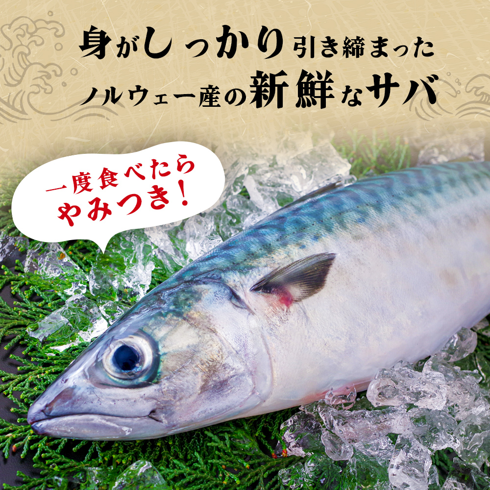 < 訳あり > 無塩サバフィレ 1kg 無添加 魚 さばフィーレ 無