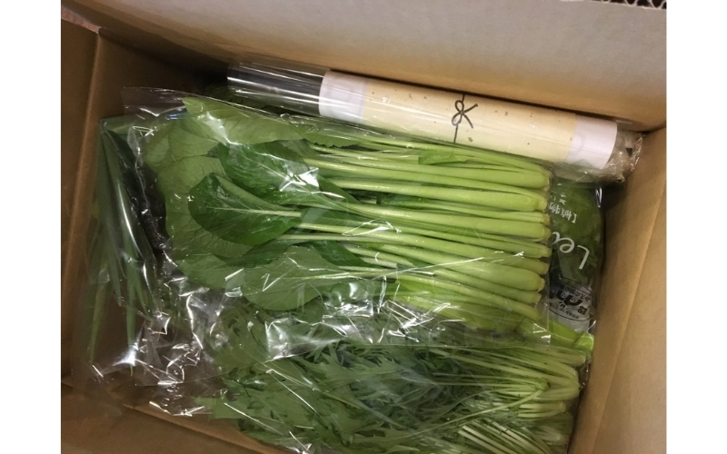 忍びの国の野菜セット（12品以上）季節毎に4回お届け【mtur-tkb0002】