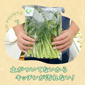 【定期便2回】【水耕栽培】野菜 詰め合わせ 合計 5袋 ( レタス チンゲン菜 小松菜 山東菜 水菜 わさび菜 ） 3 ～ 5 種類