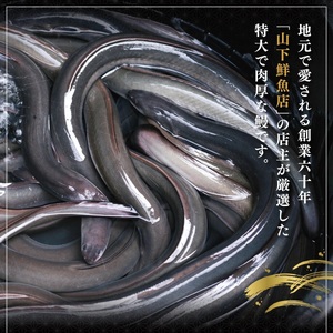 ＜2026年3月配送開始／定期便2回＞ うなぎ 蒲焼き 白焼き 食べ比べセット 計800g (各200g×2尾×2回) ／うなぎ 鰻 ウナギ 蒲焼 蒲焼き 土用 丑の日 特選 肉厚 たれ 国産 ふるさ