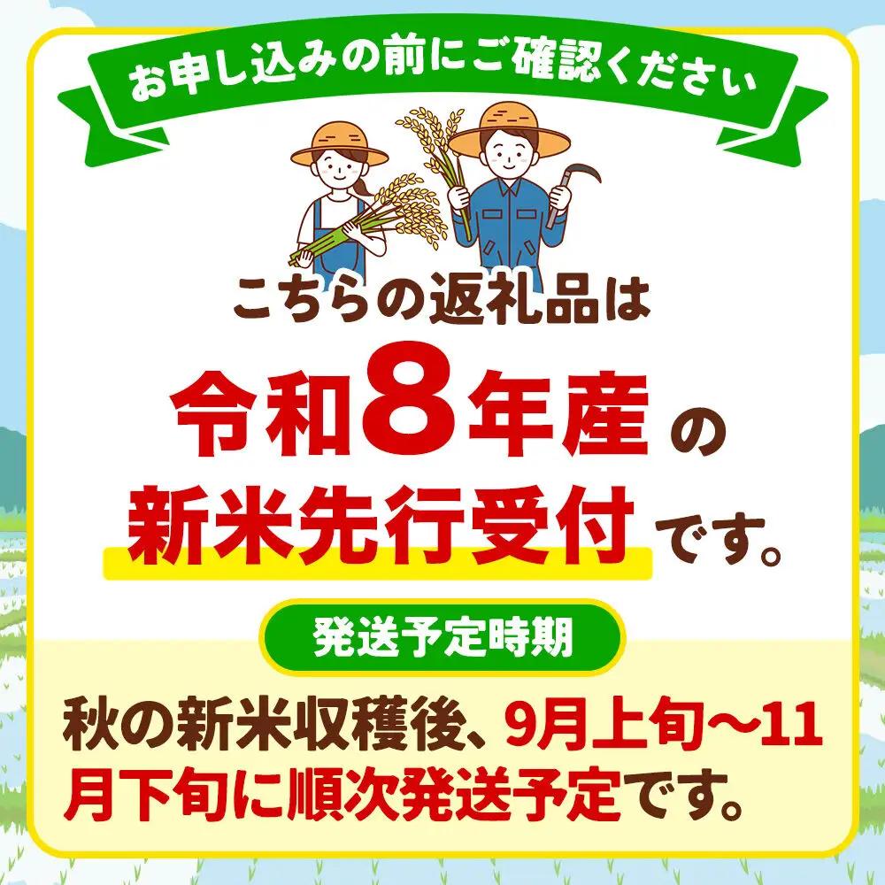 《令和8年産 新米予約》【玄米】真田のコシヒカリ小松姫 10kg（5kg×2袋） 金井農園
