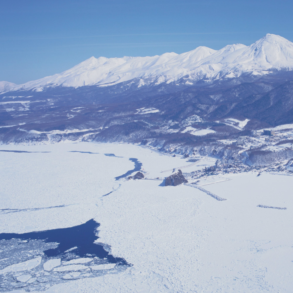 【先行受付】知床トコさんトラベルタンブラー アッシュグリーン 350ml×1本【配送不可地域：離島・沖縄県】_ss08-007