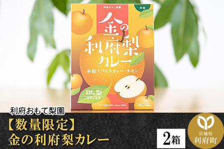 金の利府梨カレー(中辛)200g×2箱 利府梨使用