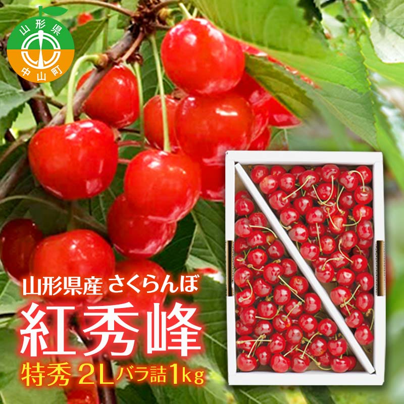 【ふるさと納税】贈答用 山形県産 さくらんぼ 紅秀峰 特秀 2L バラ詰 1kg 2025年6月下旬から順次発送 露地栽培 果物 くだもの フルーツ 贈答 ギフト 数量限定 産地直送 F4A-0401
