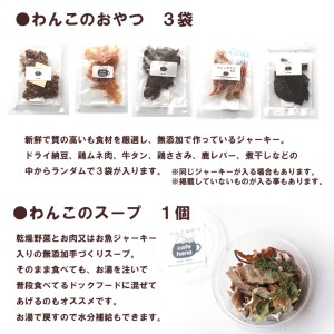 【定期便6回】わんこのお弁当セット Mサイズ