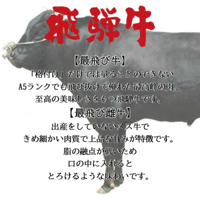 【最飛び雌牛】飛騨牛A5等級モモ焼き肉用　500g【配送不可地域：離島】