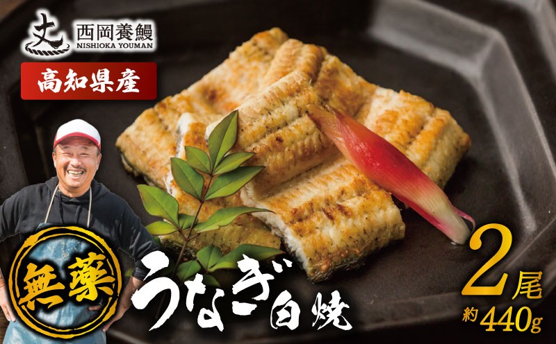 
                  完全無投薬 鰻白焼 国産 うなぎ白焼 440g ( 220g × 2尾 ) 鰻 厳選 無薬 うなぎ 白焼き 白やき 国産うなぎ 国産鰻 人気 鰻白焼き 特製タレ 山椒 セット 湯煎 簡単調理 旨味 風味 香ばしい うな重 土用の丑の日 夏バテ対策 スタミナ食 ギフト 贈り物 贈答 お取り寄せ グルメ 高級 うなぎ料理 こだわり 冷凍 高知県産 ランキング おすすめ 西岡養鰻 安芸市 高知県
                