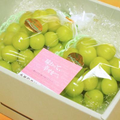 ふるさと納税 三条市 先行受付 シャインマスカット 1.2kg 果物 新潟県 三条市産 [小林農園]【013P027】 |  | 03