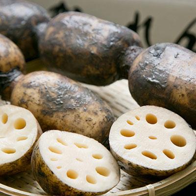 ふるさと納税 江北町 「地元 江北町産」 泥付き蓮根【3kg×2】 |  | 02