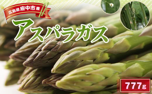 No.1087 アスパラガス 777g ／ 野菜 新鮮 栄養 みずみずしい サラダ グリル 炒め物 広島県
