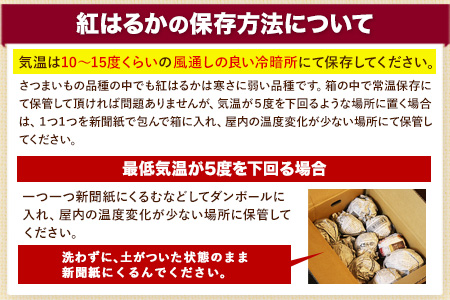 熊本県大津町産 紅はるか 約3.5kg（大中小不揃い）《1-5営業日以内に順次出荷(土日祝除く)》二代目イモセガレブラザーズ さつまいも 芋 紅はるか スイートポテト 干し芋にも 特産品 熟いも 野菜