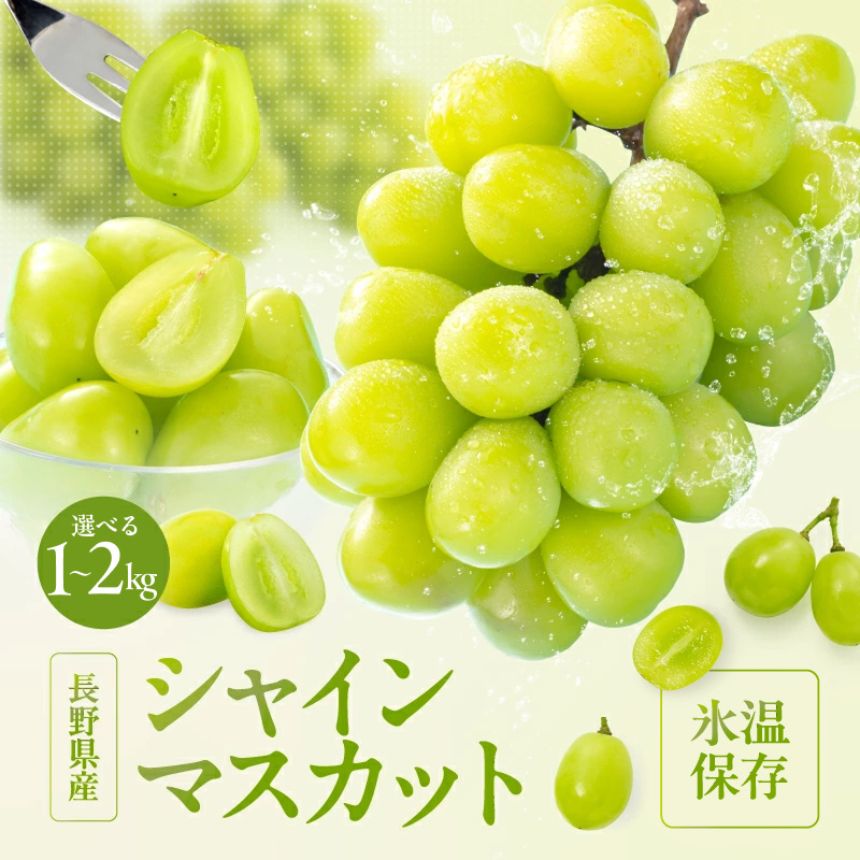 【ふるさと納税】【氷温貯蔵】 ぶどう 長野県産 シャインマスカット 秀品 【選べる容量】〈2026年11月上旬～12月下旬発送〉| 果物 くだもの フルーツ シャインマスカット ぶどう ブドウ 葡萄 長野県 信州 南信州 飯田市