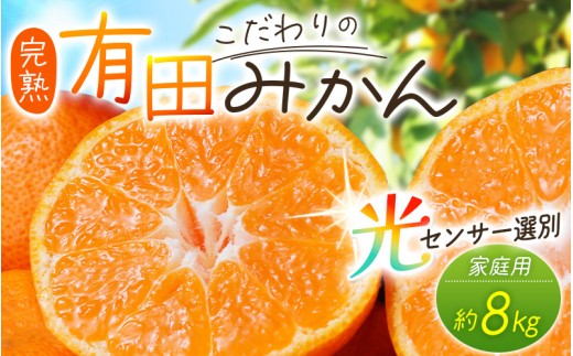 【2026年12月発送予約分】＼光センサー選別／農家直送 こだわりの完熟有田みかん 約8kg＋150g(傷み補償分) 【ご家庭用】【12月発送】【nuk101-12C】