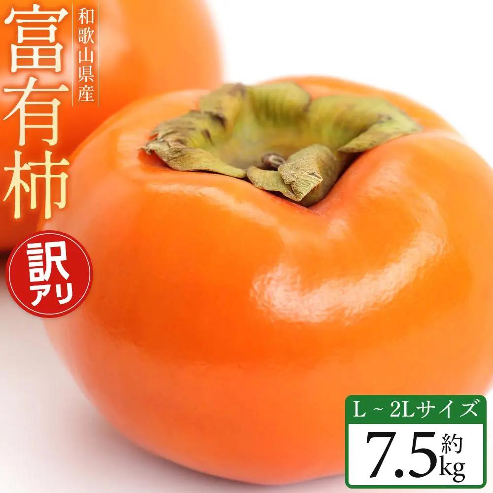 和歌山県産 訳あり 富有柿 7.5kg L ~ 2L 柿 【11月中旬～発送】