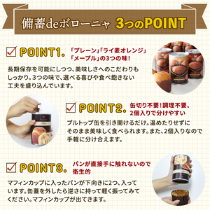 2025年3月下旬以降発送 美味しいパンの缶詰 備蓄deボローニャ6缶セット 5年6か月保存【 保存食 非常食 防災食 備蓄食 防災グッズ パン レジャー アウトドア 海外旅行 キャンプ ボローニャ 