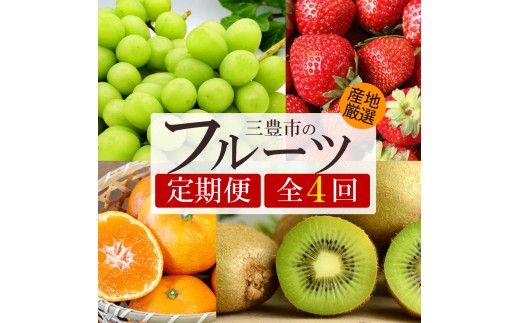 【ふるさと納税】 フルーツ 定期便 4回 シャインマスカット入り 旬のフルーツ定期便 [ マスカット 柑橘 果物 果実 デザート スイーツ 送料無料 40,000 30, 台 返礼品 人気 マミィギフト ]【配送不可地域：北海道・沖縄・離島】