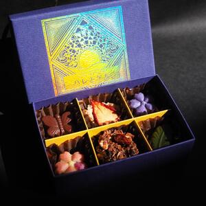 チョコレート ヴィーガンチョコレートギフトBOX 6個入り チョコレートチョコレートチョコレートチョコレートチョコレート