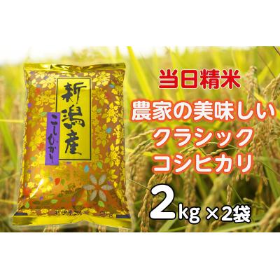 ふるさと納税 阿賀野市 【令和7年産】 当日精米! 農家直送 クラシックコシヒカリ 4kg (2kg×2袋) 精米 白米