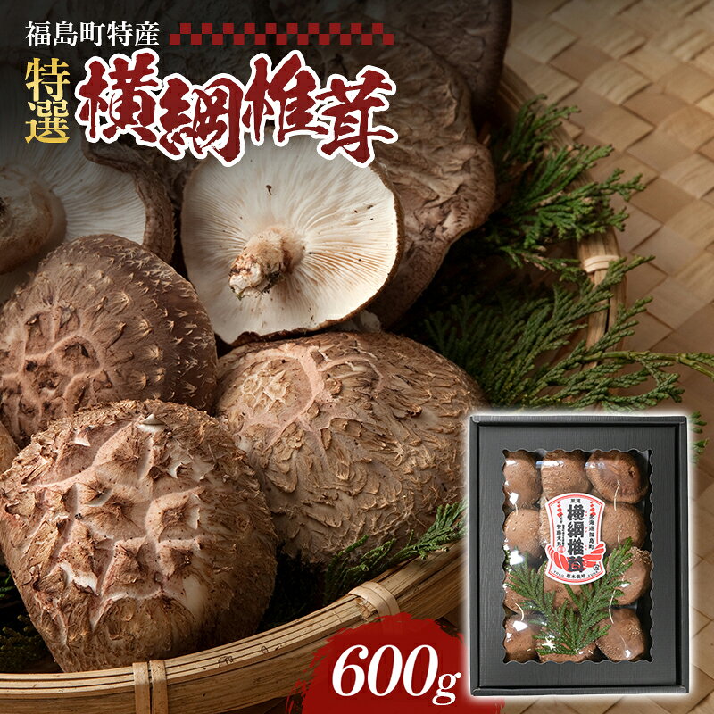 【ふるさと納税】【先行予約 令和8年11月末発送】原木しいたけ 生椎茸 600g 北海道産 肉厚 プリプリ食感 濃厚な旨み「横綱椎茸」林野庁長官賞受賞 原木椎茸 ギフト 贈答用 管藤農園 産地直送 北海道 福島町 FKG001