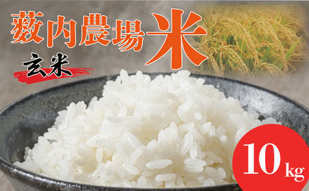 【先行予約】岩美薮内農場米（コシヒカリ）10kg 玄米｜鳥取 岩美 米 お米 こめ コメ 令和7年産 新米【31013】