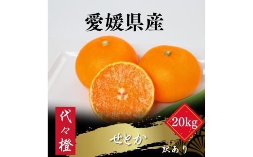 【先行受付】【最高の旨みと香りが詰まった】代々橙せとか【訳あり】20kg【H83-42】【1623759】 YWTW042