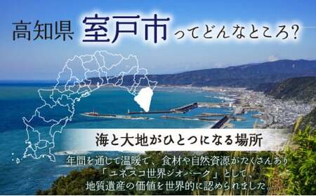 自家製パウンドケーキ 醤油 １本（約15cm）_sc015