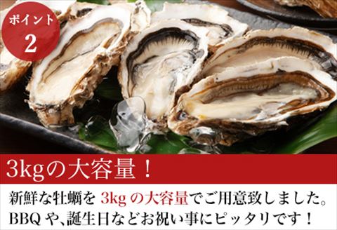 『予約受付』【令和6年1月10日から発送】いろは島の料理長が厳選！唐津産 牡蠣3kg ナイフ 軍手付 (加熱用殻付き) かき カキ 殻付き牡蠣 養殖 まがき 貝 海鮮 シーフード