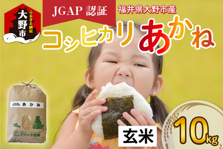 【先行予約】【令和6年産 新米】福井県大野市産 JGAP認証 コシヒカリ「あかね」（玄米）10kg