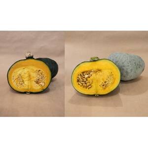 かぼちゃセット　合計約8kg(青森県十和田市産) 　メルヘン、雪化粧【配送不可地域：離島】【jhgfd】