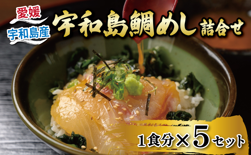 ＼10営業日以内発送／ 鯛めし 5食 セット 宇和島鯛めし 辻水産 家庭用 保冷バッグ 梱包 生鯛めし 真鯛 鯛 マダイ タイ tai 刺身 お刺身 刺し身 漬け丼 漬け 漬丼 丼 丼ぶり 海鮮丼 郷土料理 鯛飯 海鮮 人気 海の幸 魚介 人気加工品 冷凍 小分け パック お手軽 便利 簡単 調理 乗せるだけ 産地直送 国産 愛媛 宇和島 D014-062007