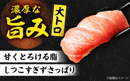 【全6回定期便】たね熟天然本まぐろ赤身＆中トロ＆大トロセット(各160g 計480g)[AOCE044]マグロ