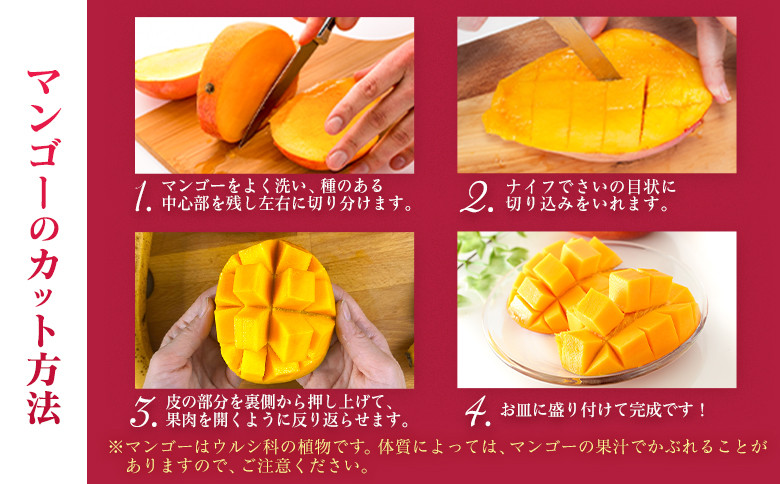 宮崎特産「完熟マンゴー4L×2玉」お届け定期便（全3回）計6玉 特産 国産 果物 フルーツ 旬 産地直送 大玉【F142-27】