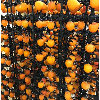 ふるさと納税 南部町 なんぶの柿っこ(干し柿)200g×6P |  | 02