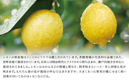 【先行予約】＜無茶々園のレモン 約3kg＋レモンの本＞ フルーツ 果物 くだもの れもん 檸檬 柑橘 香酸柑橘 国産 無茶々園 特産品 愛媛県 西予市【常温】『2027年1月～3月までに順次出荷予定』