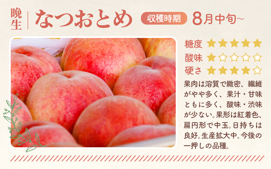 もも【なつおとめ・2026年産先行受付】特秀　5kg　桑折町産　JAふくしま未来　桃 No.174