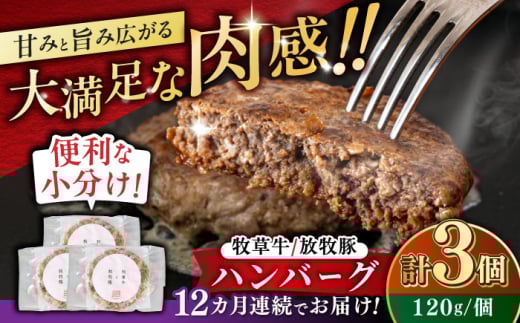 【全12回定期便】　【牧草牛×放牧豚】ハンバーグ 3個 《厚真町》【GOODGOOD株式会社】ハンバーグ 牛肉 豚肉 合い挽き ジビエ 小分け 冷凍配送 北海道 [AXBP025]