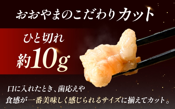 もつ鍋 博多 冷凍 味噌