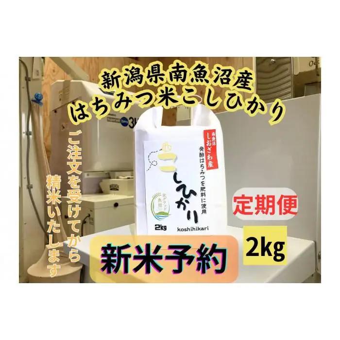 【令和8年・新米予約・定期便】新潟県南魚沼産（塩沢地区）はちみつ米コシヒカリ 2kg×６か月　※蜂蜜発酵液肥料栽培【2026年9月下旬より1ヶ月以内に順次発送予定】｜コシヒカリ