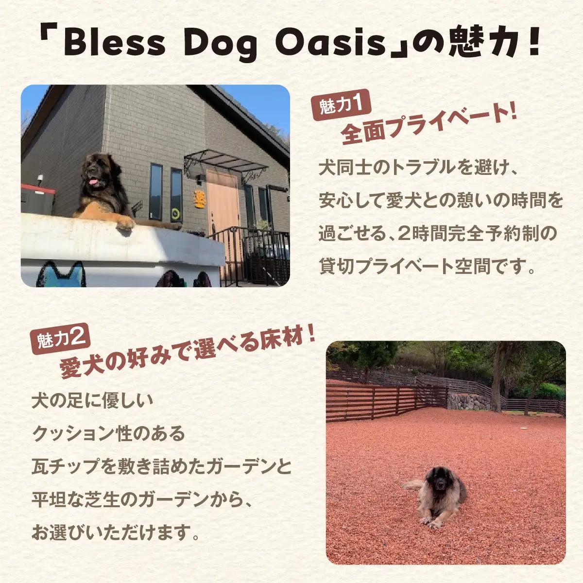 【完全予約制】自然を活かした全面プライベートドッグラン・ドッグガーデン 利用補助券 4,500円分 (500円 × 9回分) | Bless Dog Oasis | ドッグラン ドッグガーデン わんち